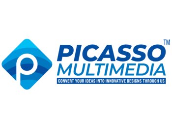 आसनसोल वेब डिजाइनर Picasso Multimedia छवि 1