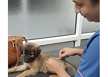 Pink Paws Pet Clinic & Surgical Center