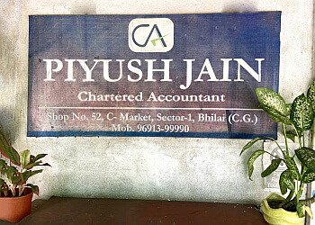 Piyush P Jain & Associates