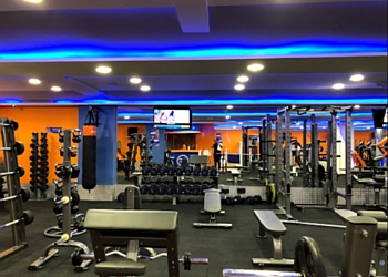3 Best Gym in Ahmedabad - Expert Recommendations