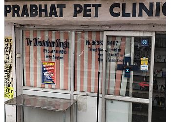 3 Best Veterinary Hospitals in Lucknow, UP - ThreeBestRated