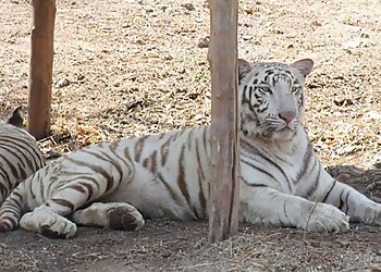 Pradhyuman Zoological Park