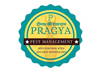 Pragya Pest Management 