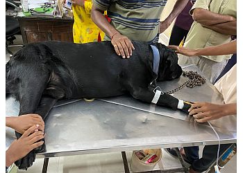 Prathyusha Pet Clinic