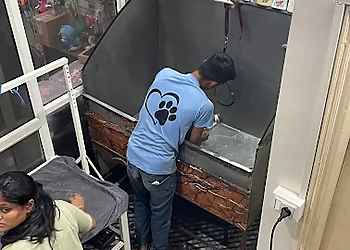 Preety Pets Grooming Salon