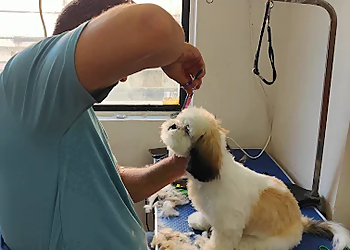 Preety Pets Grooming Salon
