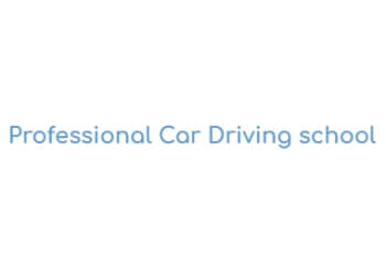 Professional Car Driving school