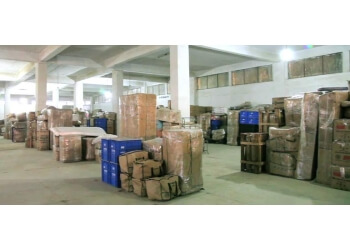 Professional Cargo Packers and Movers