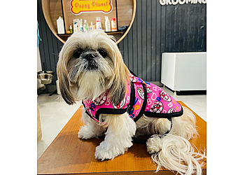 Puppy Planet Puppy Planet