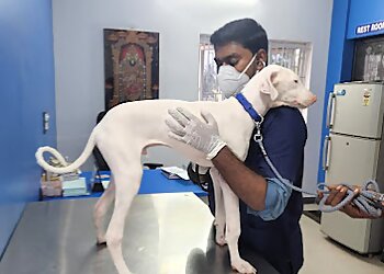 RNK Veterinary Clinic