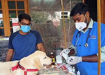 Coimbatore Veterinary Hospitals RNK Veterinary Clinic image 1