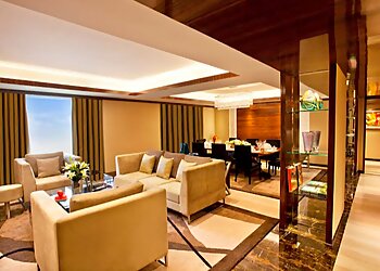 Radisson Blu Plaza Hotel, Delhi Airport