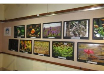 Raja Ravi Verma Art Gallery