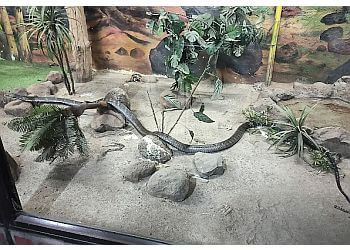 Rajiv Gandhi Zoological Park