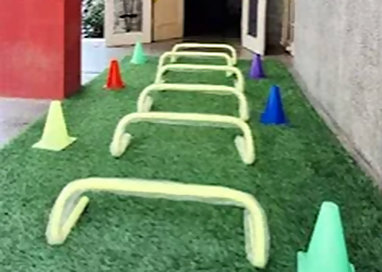 ReLife Development Centre for Children & Adults Jodhpur