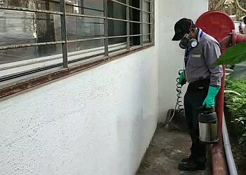 Rentokil PCI Pest Control Service Akola