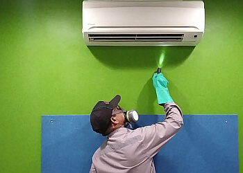 Rentokil PCI Pest Control Service