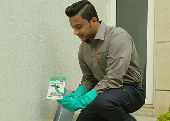 Rentokil PCI Pest Control Service