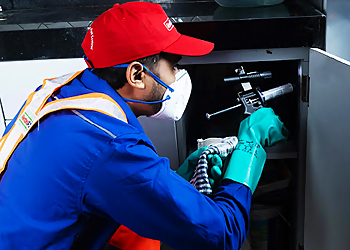 Rentokil PCI Pest Control Service Rentokil PCI Pest Control Service