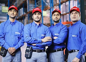 Rentokil PCI Pest Control Service Gurugram