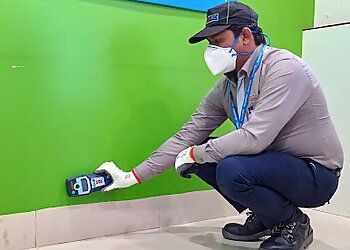 Rentokil PCI Pest Control Service