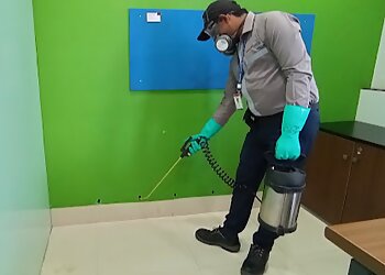 Rentokil PCI Pest Control Service