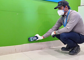 Rentokil PCI Pest Control Service