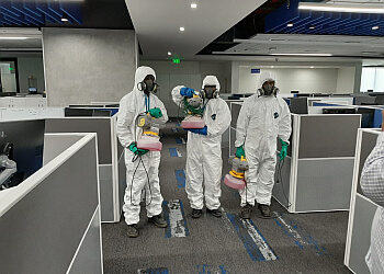 Rentokil PCI Pest Control Service