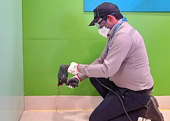 Rentokil PCI Pest Control Service Amritsar