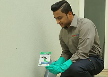 Rentokil PCI Pest Control Service Amritsar