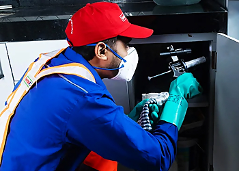 Rentokil PCI Pest Control Service Gurugram