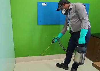 Rentokil PCI Pest Control Service Jalandhar