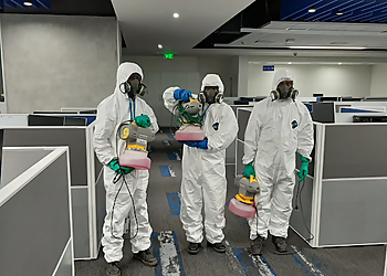 Rentokil PCI Pest Control Service Jalandhar