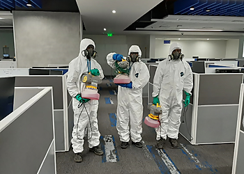 Rentokil PCI Pest Control Service Lucknow