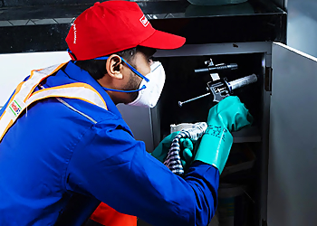 Rentokil PCI Pest Control Service Rajkot