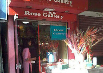 Rose Gallery