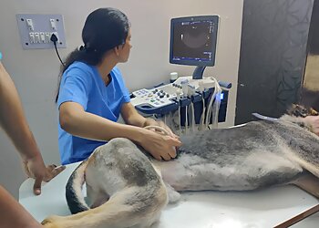 SKRD Veterinary Hospital