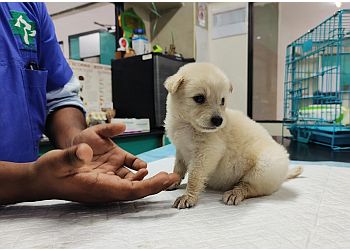 SKS Veterinary Hospital