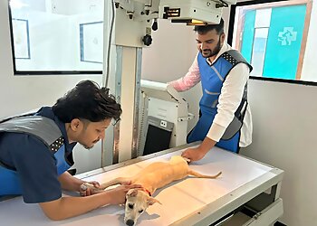 SKS Veterinary Hospital