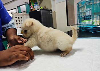 SKS Veterinary Hospital