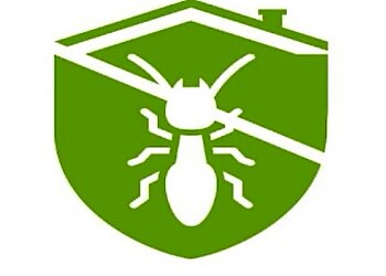 वड़ोदरा कीट नियंत्रण सेवा SPRC Pest Control  छवि 1