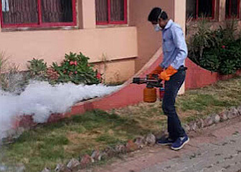 SSD Pest Control Services