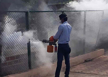 SSD Pest Control Services