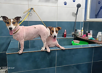 SS Pet Care Hospital Tirunelveli