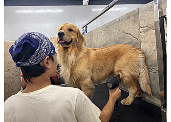 Sanchu Animal Hospital