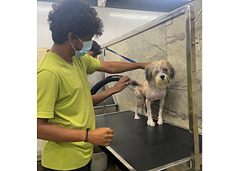 Sanchu Animal Hospital