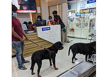 Sanchu Animal Hospital 24x7