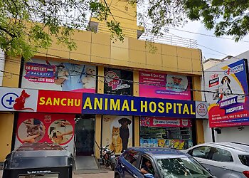 Chennai Veterinary Hospitals Sanchu Animal Hospital 24x7 image 1