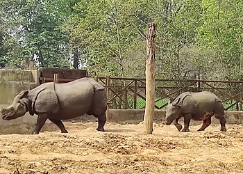 Sanjay Gandhi Biological Park