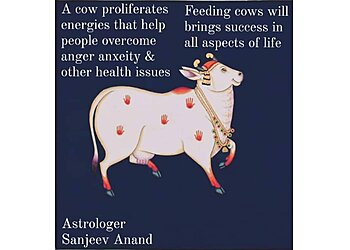 Sanjeev Anand - SHREE BAALAJI ASTROLOGY POINT